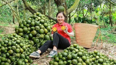TP.HCM công bố số thí sinh đăng ký nguyện vọng 1 thi lớp 10